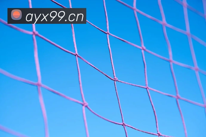 世界杯官网登录app服务体系